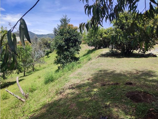 place photo 52