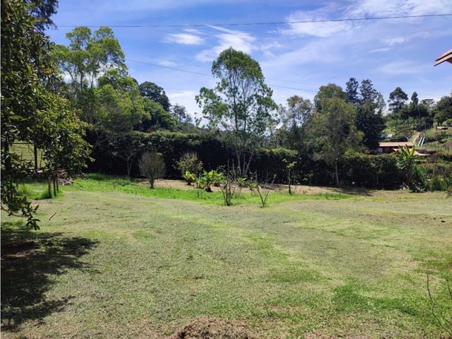 place photo 48