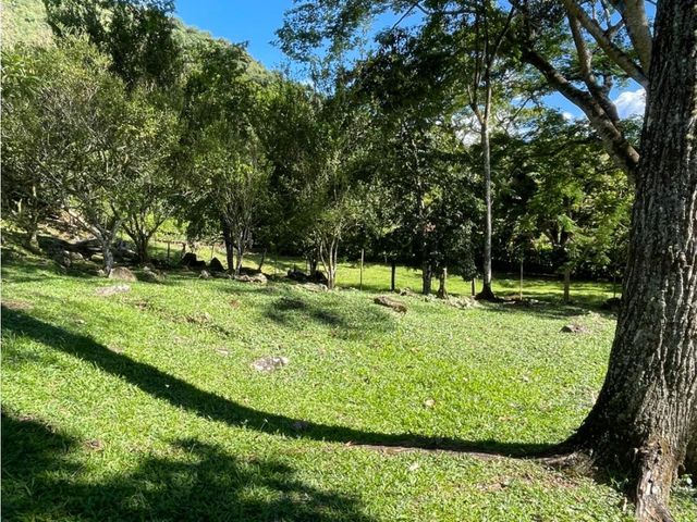place photo 49