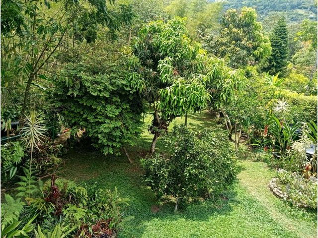 place photo 51