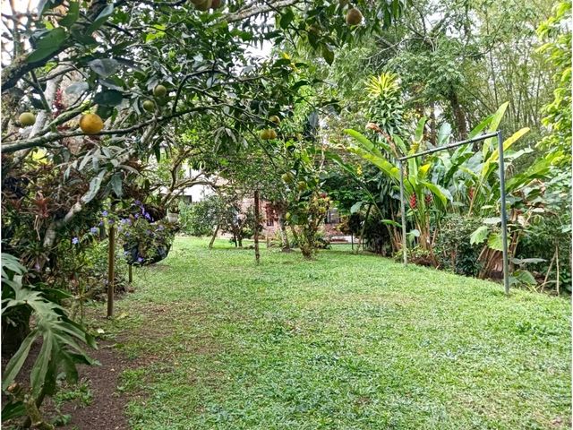 place photo 54