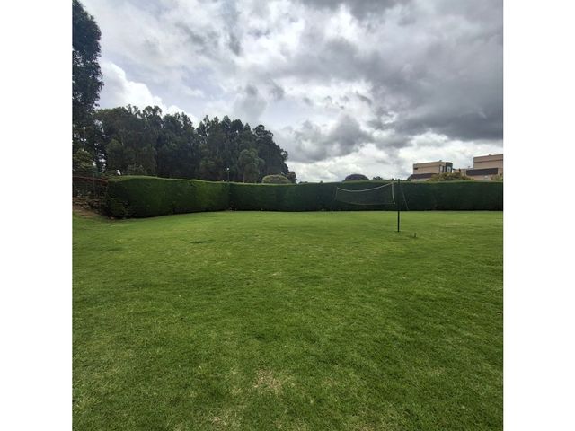 place photo 42