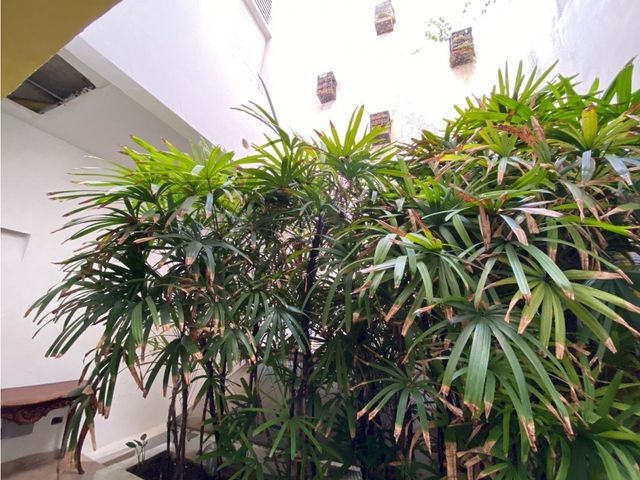 place photo 36