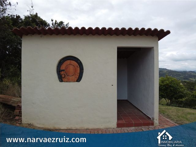 place photo 28