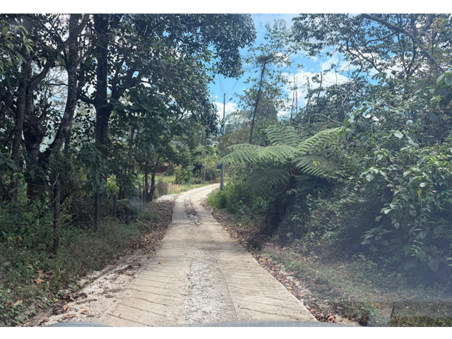 place photo 25