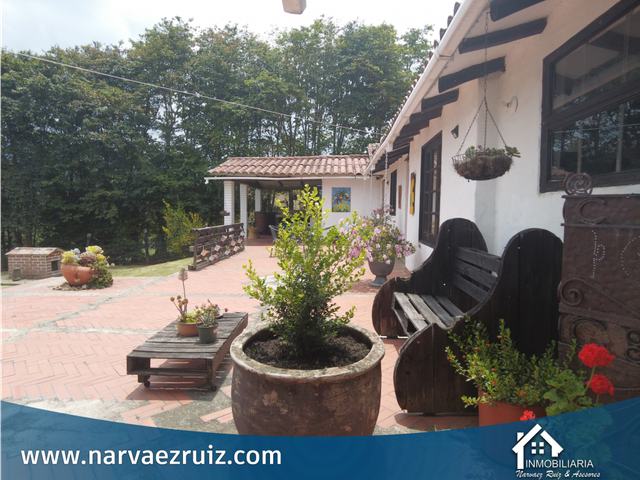 place photo 40