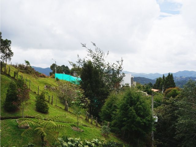 place photo 64