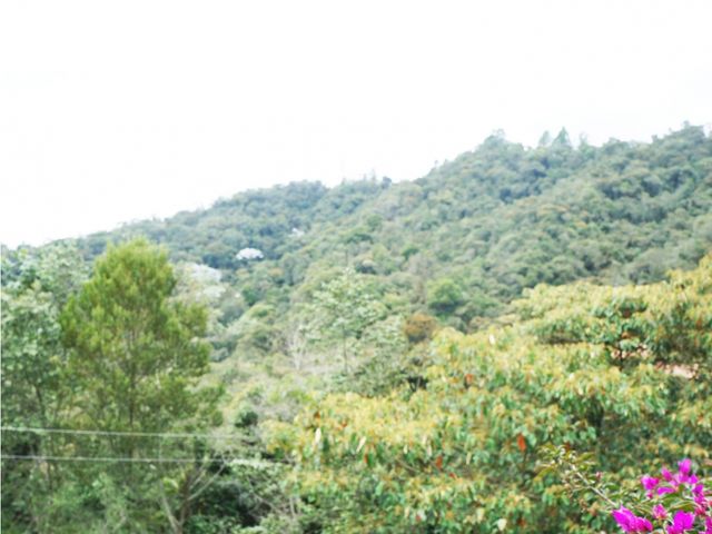 place photo 37