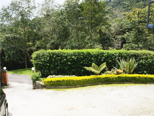 place photo 44