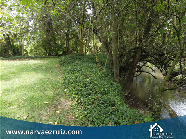 place photo 72