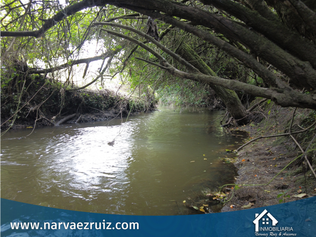 place photo 61