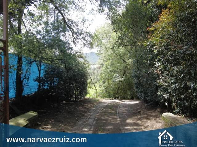 place photo 53