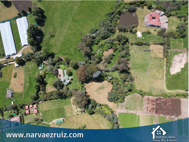 place photo 67