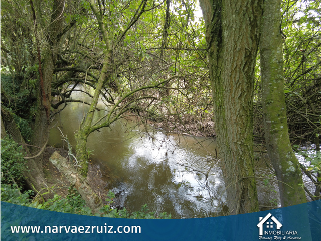 place photo 63