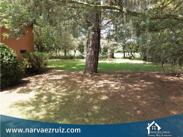 place photo 64