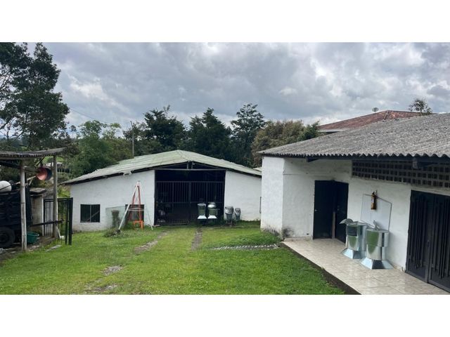 place photo 46