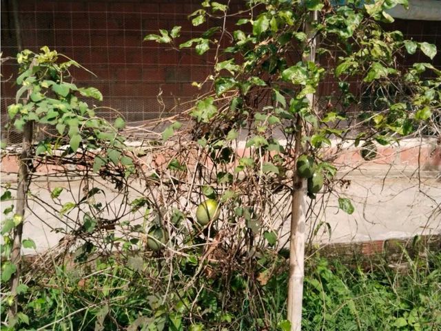 place photo 53