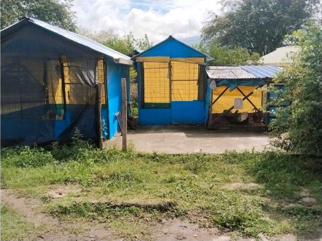 place photo 50