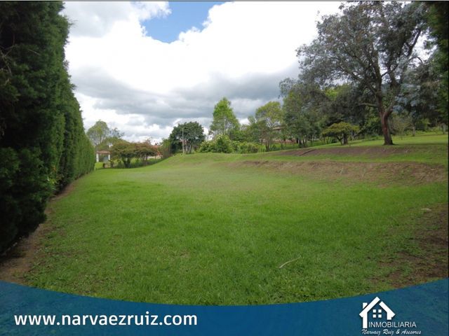 place photo 74
