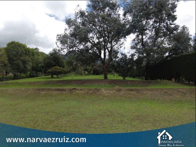 place photo 75