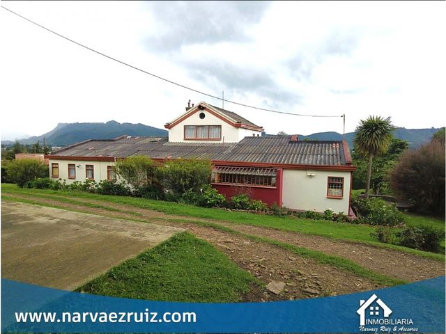 place photo 46