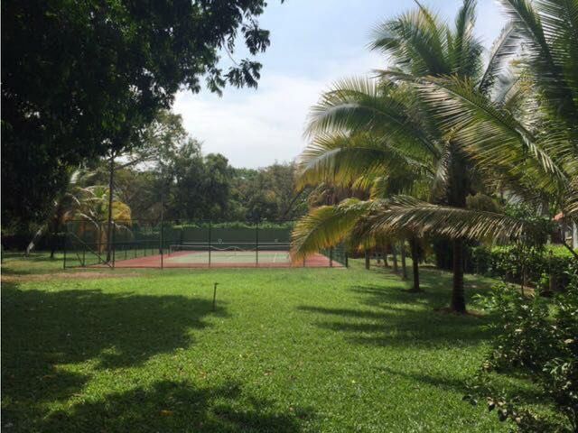 place photo 17