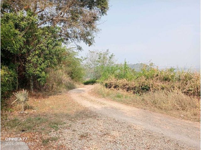 place photo 25