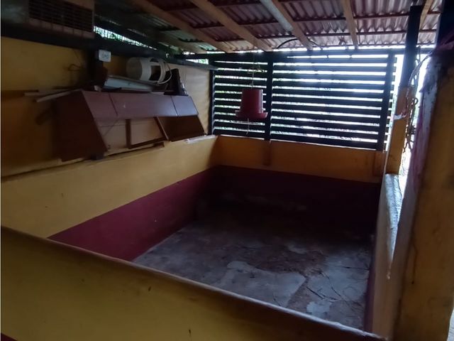 place photo 26