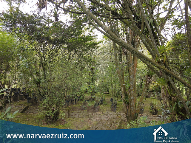 place photo 47