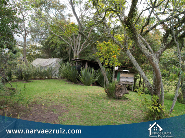 place photo 51