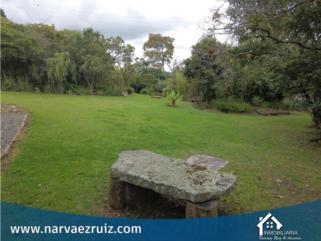 place photo 46