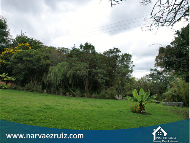 place photo 48