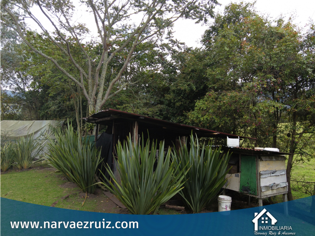 place photo 49