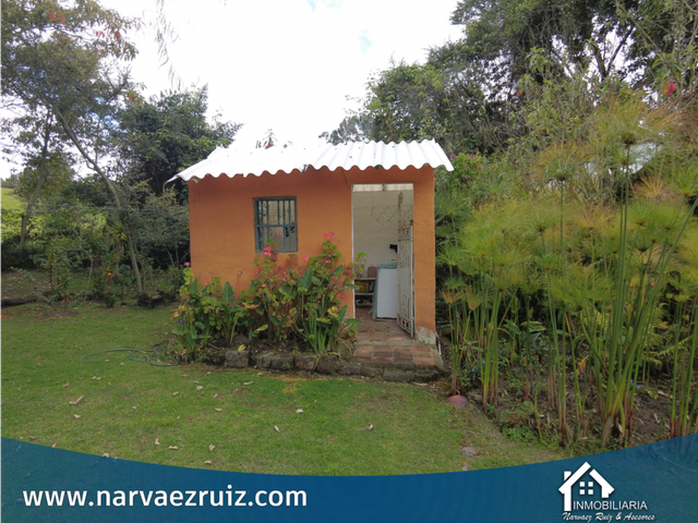 place photo 38