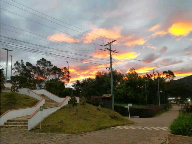 place photo 60
