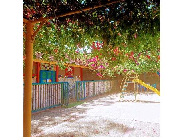 place photo 21
