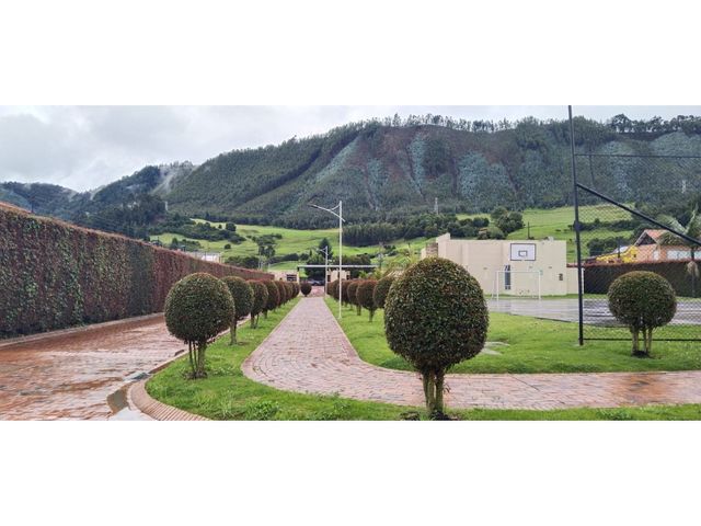 place photo 43
