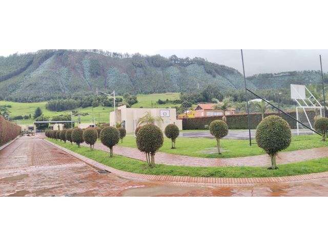place photo 30