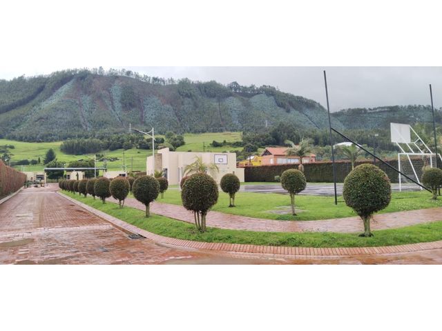 place photo 40