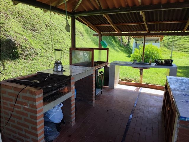 place photo 47