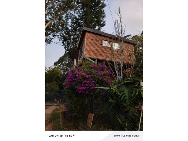 place photo 35