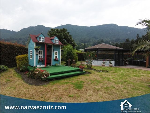 place photo 67
