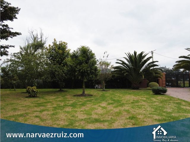 place photo 65