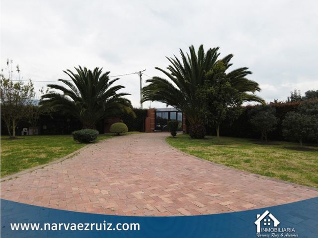 place photo 47