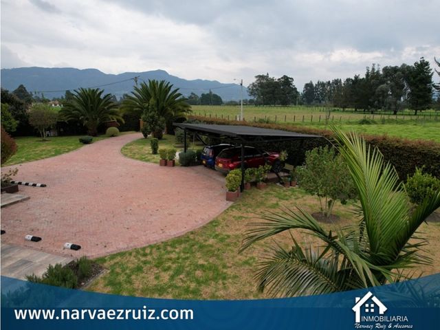 place photo 38