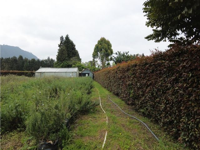 place photo 59