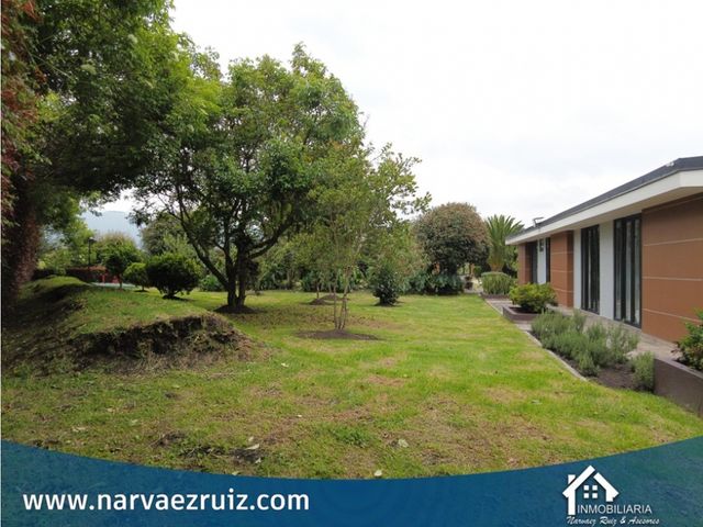 place photo 63