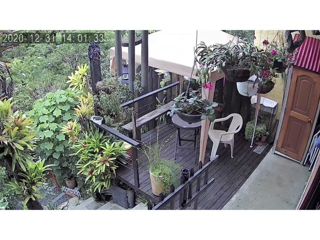 place photo 28