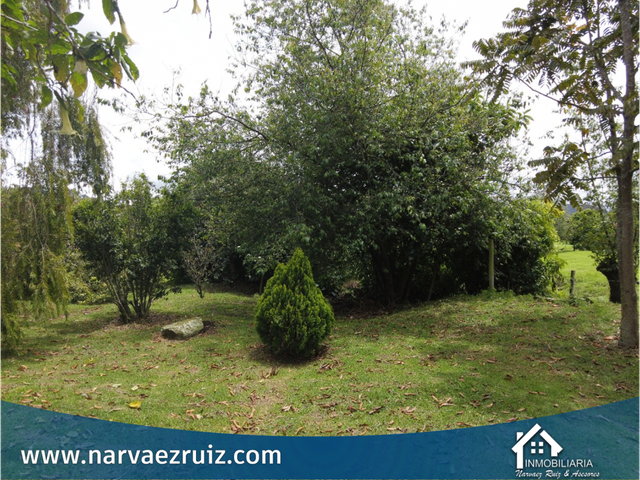place photo 42