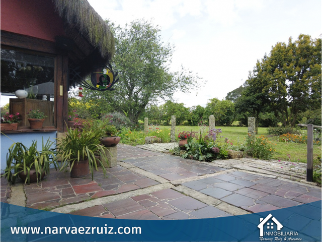 place photo 30